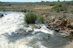 0252-Reis Zuid-Afrika2007